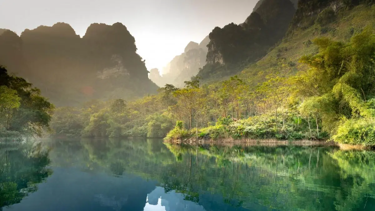 先进智慧高端